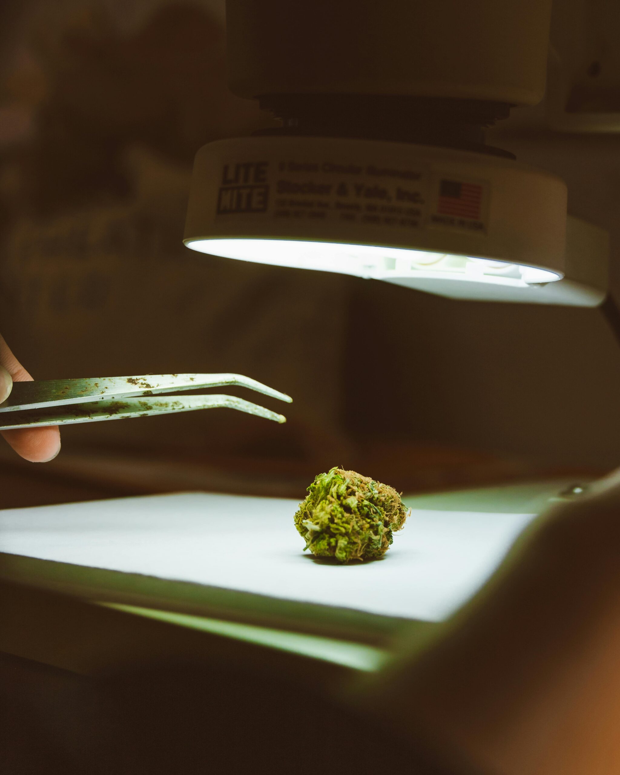cannabis flower